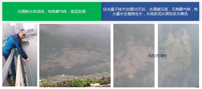 微信截圖_20201231115005.png