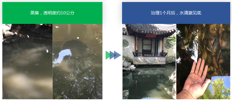 5555.png